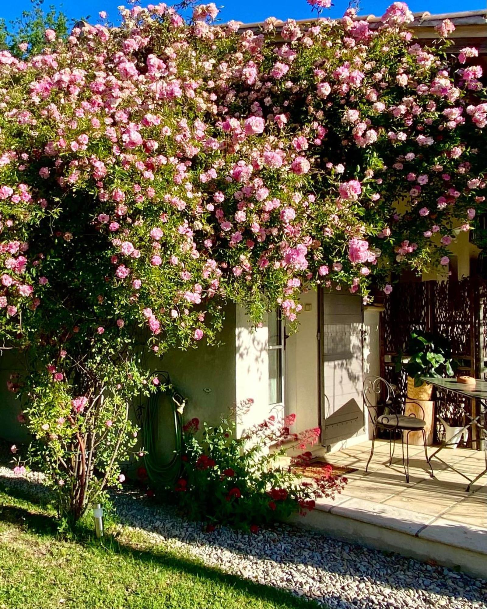 Villa Le Jardin De Lau Aubignan Exterior foto